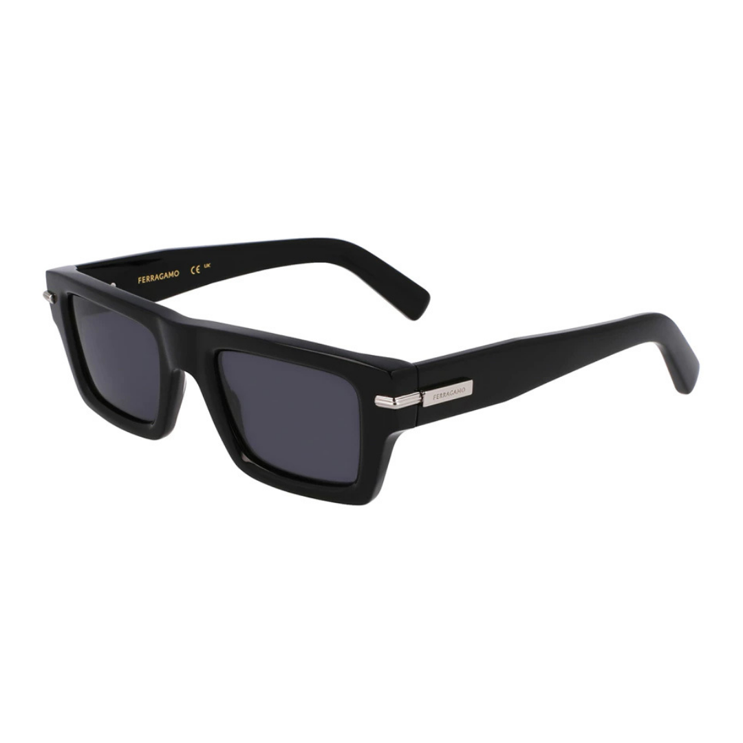 Lunettes de soleil Salvatore Ferragamo | Modèle SF2034S