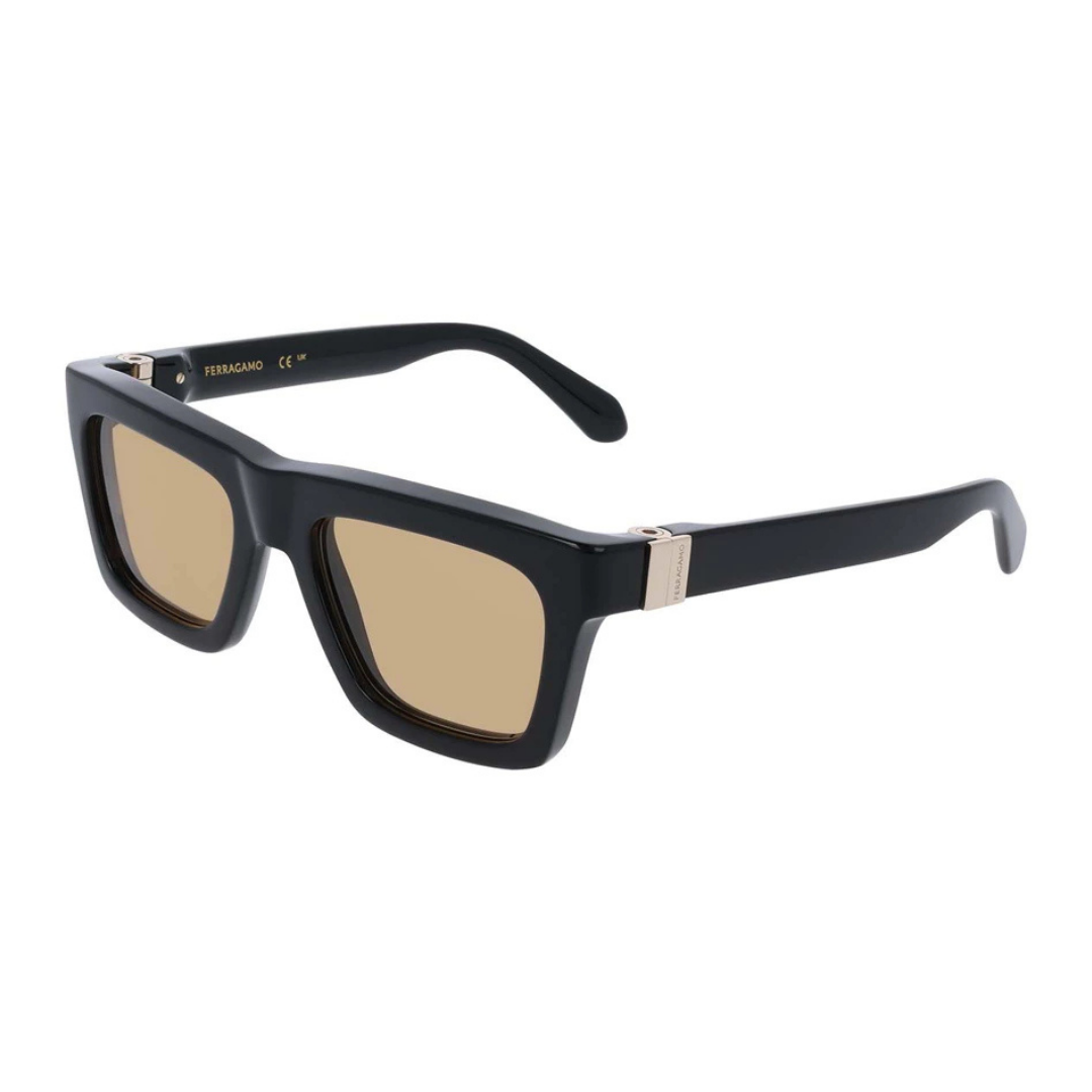 Lunettes de soleil Salvatore Ferragamo | Modèle SF2071S