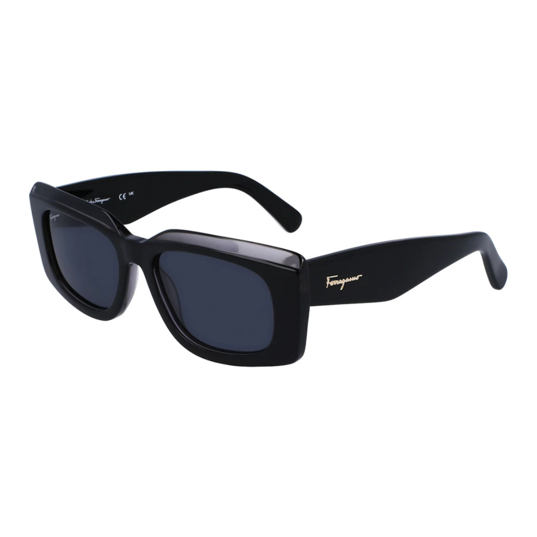 Lunettes de soleil Salvatore Ferragamo | Modèle SF1079/S