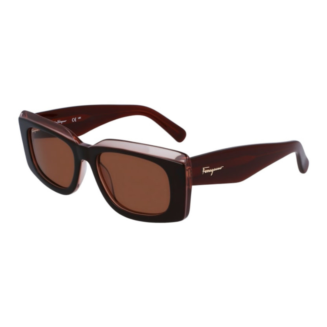 Lunettes de soleil Salvatore Ferragamo | Modèle SF1079/S