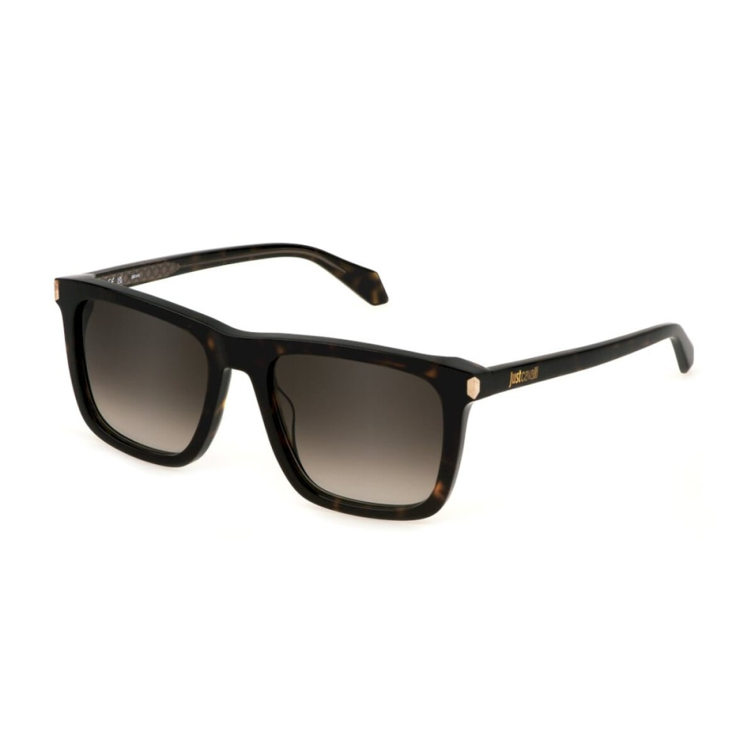 Just Cavalli Sunglasses | Model SJC035