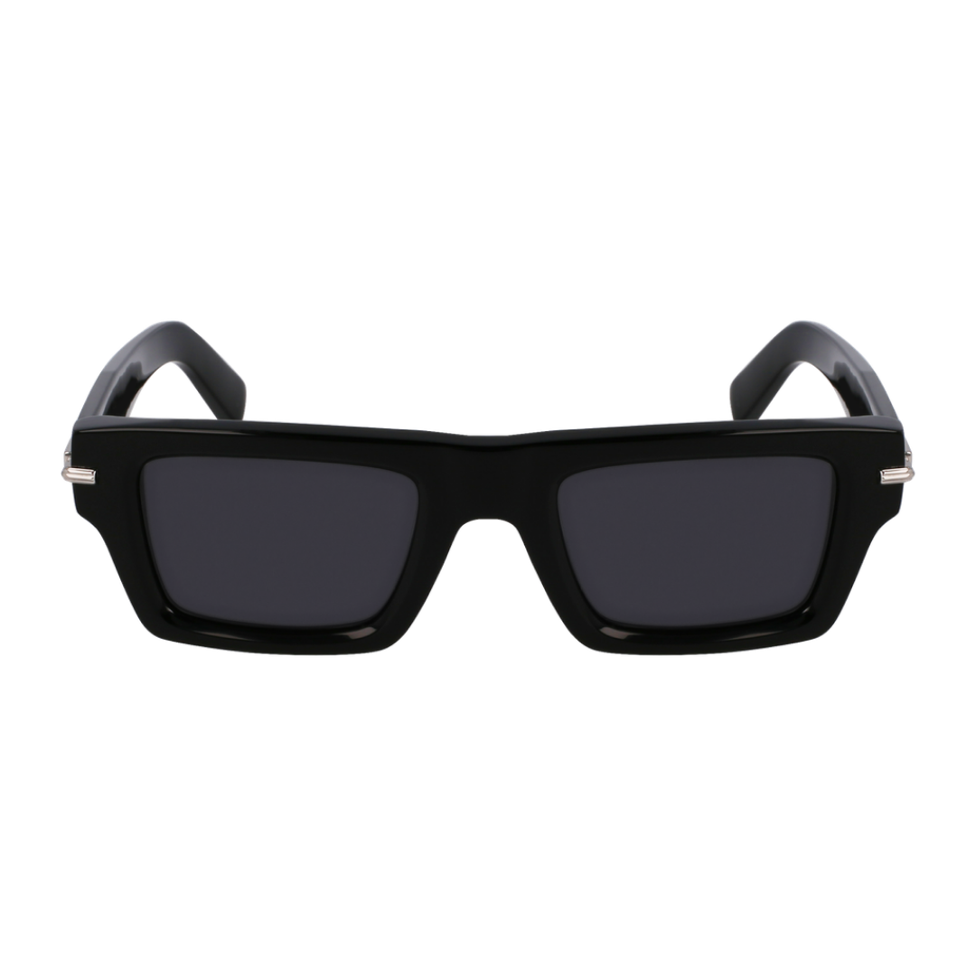 Lunettes de soleil Salvatore Ferragamo | Modèle SF2034S