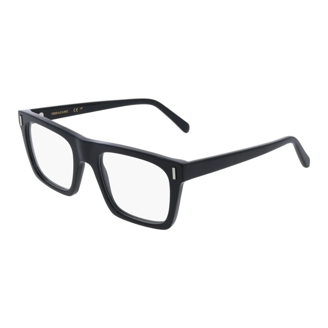 Salvatore Ferragamo Eyewear | Model SF3029